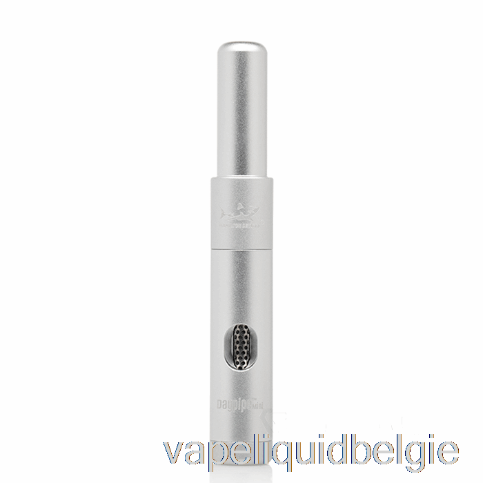 Vape-vloeistof Hamilton-apparaten Daypipe Mini Zilver